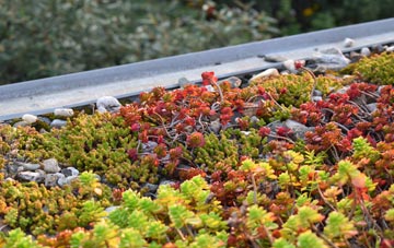 the cost of Looe green roof installation