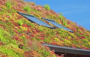 Looe living roof systems